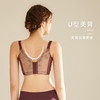 【秒杀品不退不换】皇家丽美聚拢文胸中厚杯收副乳内衣WW1835-2 商品缩略图2