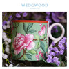 【6F】WEDGWOOD威基伍德漫游美境上海限定马克杯骨瓷杯子欧式咖啡杯茶杯 商品缩略图1
