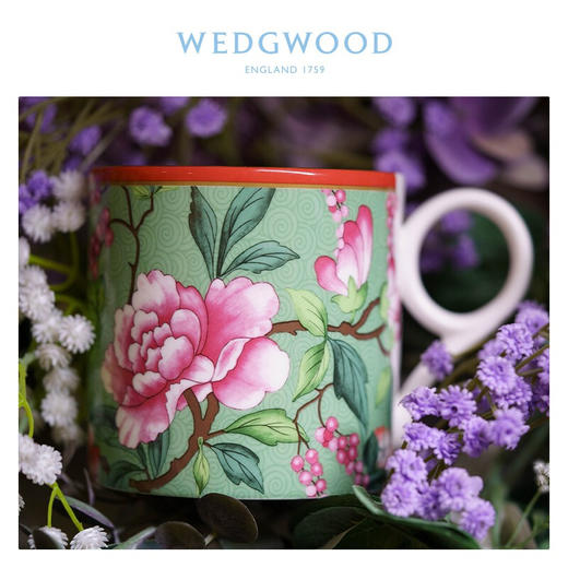 【6F】WEDGWOOD威基伍德漫游美境上海限定马克杯骨瓷杯子欧式咖啡杯茶杯 商品图1