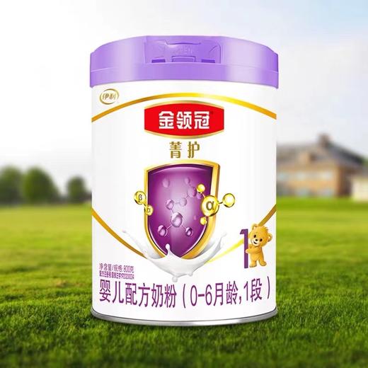 伊利金领冠菁护1段800g 商品图3