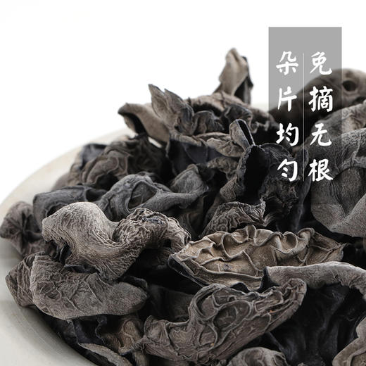 【超有嚼头无根免摘】东北特产 高品质免摘无根黑木耳 商品图3