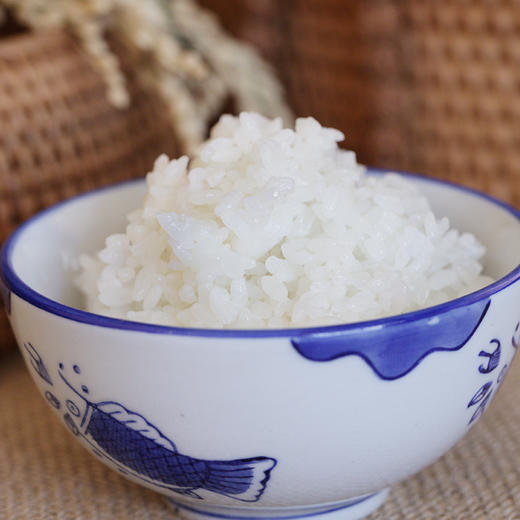 【地标品】正宗盘锦大米 秋光·碱地香米5kg 基地直供 商品图1