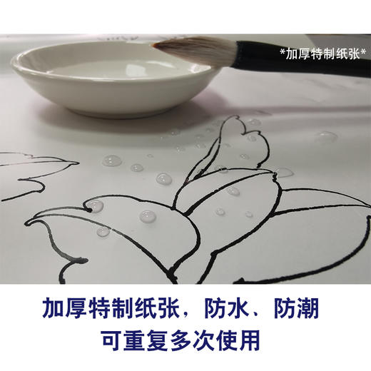 恽寿平工笔花鸟画白描底稿竹石桃花小品一套六幅册页初学者尺寸36*30厘米SP92 商品图5