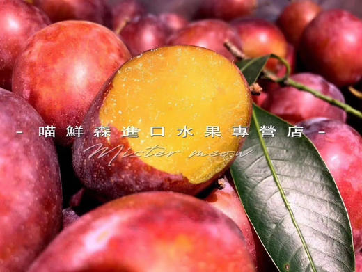 【智利空运】超甜西梅（5斤） 商品图4