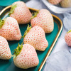 【顺丰空运】淡雪草莓  日本奈良种源  个大饱满  白嫩剔透 颗颗香甜 不打膨大剂 商品缩略图3