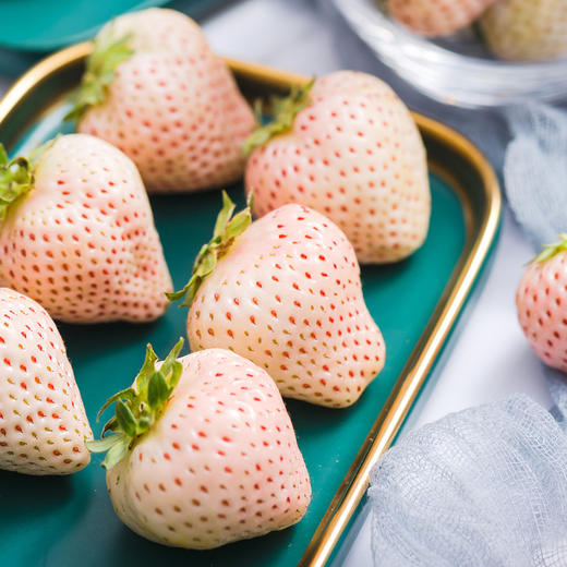 【顺丰空运】淡雪草莓  日本奈良种源  个大饱满  白嫩剔透 颗颗香甜 不打膨大剂 商品图3