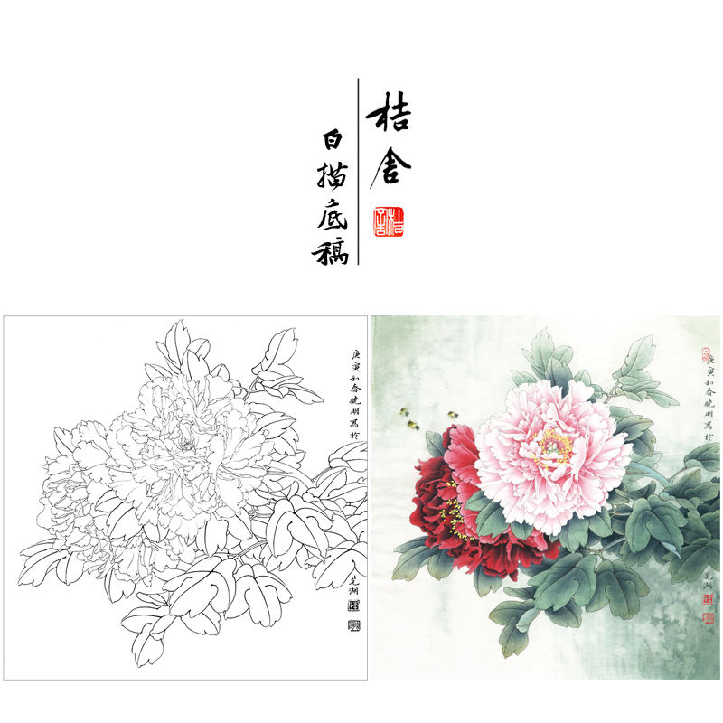 【有步骤、大彩图】李晓明工笔画白描底稿斗方小品《江东双娇》牡丹初学者临摹花鸟线稿KD26