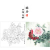 【有步骤、大彩图】李晓明工笔画白描底稿斗方小品《江东双娇》牡丹初学者临摹花鸟线稿KD26 商品缩略图0