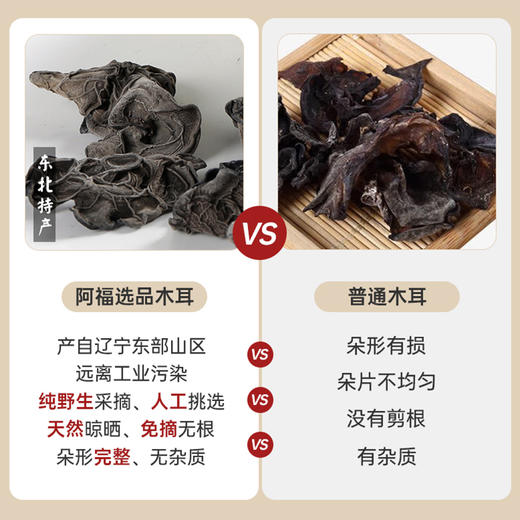 【超有嚼头无根免摘】东北特产 高品质免摘无根黑木耳 商品图6