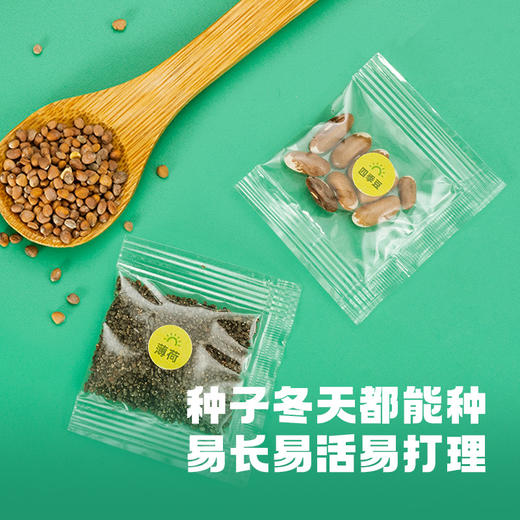 CALLPLAY科答鸭阳光种植房儿童益智玩具小学生创意手工diy科学实验套装香皂手抄报科答鸭 商品图5