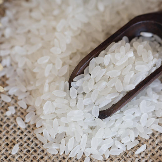 【地标品】正宗盘锦大米 秋光·碱地香米5kg 基地直供 商品图2