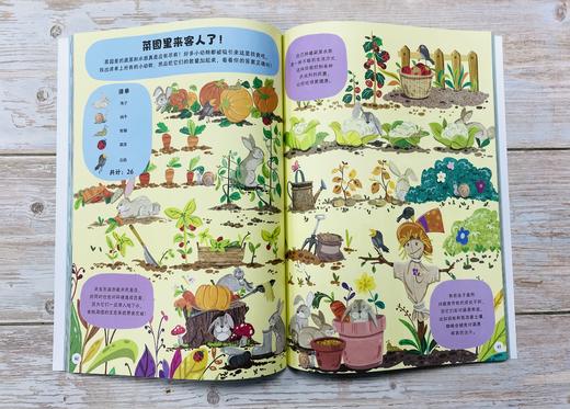 英国儿童互动百科（全4册）3岁+ 450个脑力游戏1000条科学知识   开发空间想象力 锻炼逻辑思维能力 商品图12