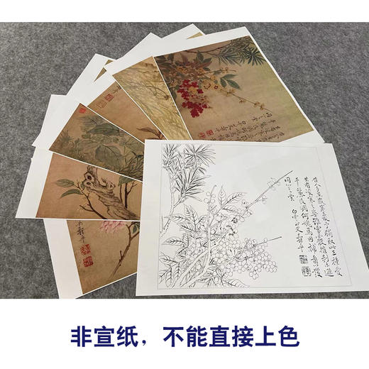 恽寿平工笔花鸟画白描底稿竹石桃花小品一套六幅册页初学者尺寸36*30厘米SP92 商品图3