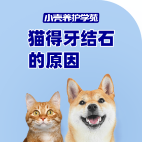猫咪得牙结石的原因