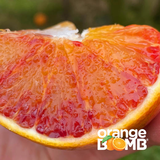 水嫩玫瑰香塔罗科血橙(新系品种） 四川宜宾产 顺丰京东快递 商品图5