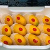 水仙芒果（斤） 商品缩略图3
