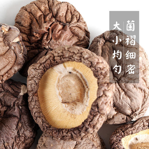 【东北剪根免摘香菇】东北特产 高品质剪根免摘香菇 商品图5