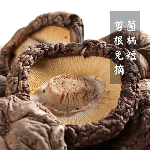 【东北剪根免摘香菇】东北特产 高品质剪根免摘香菇 商品图4