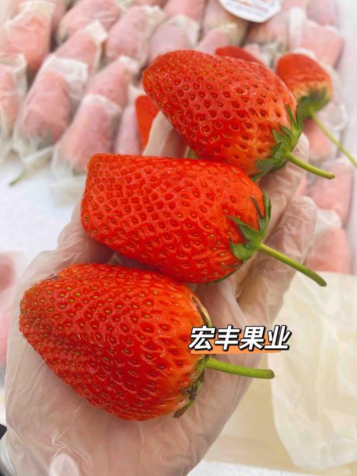 宏丰精选，丹东免洗草莓 超级好吃，活动价85一箱 商品图0