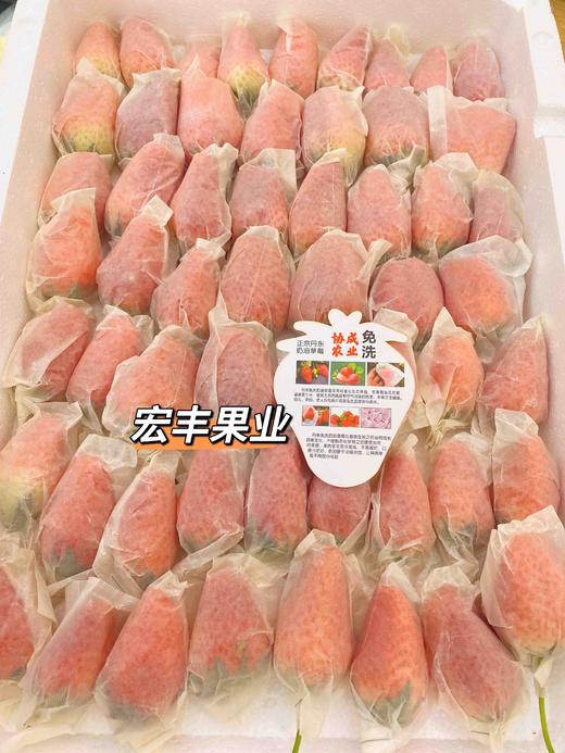宏丰精选，丹东免洗草莓 超级好吃，活动价85一箱 商品图2