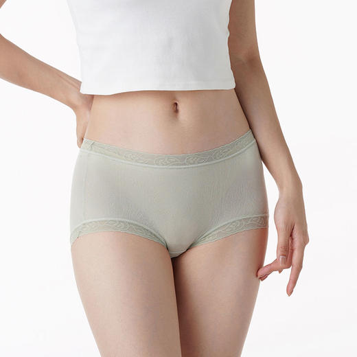 都市丽人时尚系列薄透丝滑锦泳提花三角低叉女士内裤LK241E 商品图0