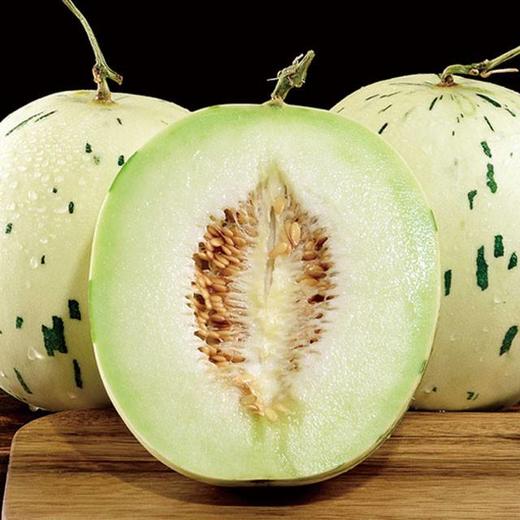 月露蜜瓜1个装