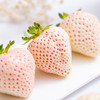 【顺丰空运】淡雪草莓  日本奈良种源  个大饱满  白嫩剔透 颗颗香甜 不打膨大剂 商品缩略图1