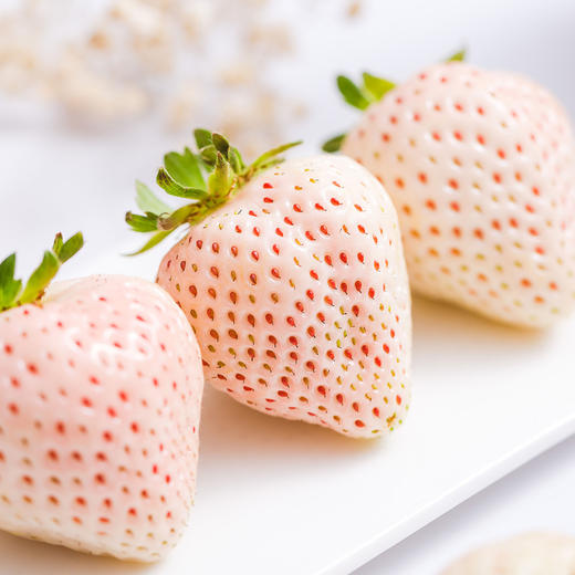 【顺丰空运】淡雪草莓  日本奈良种源  个大饱满  白嫩剔透 颗颗香甜 不打膨大剂 商品图1