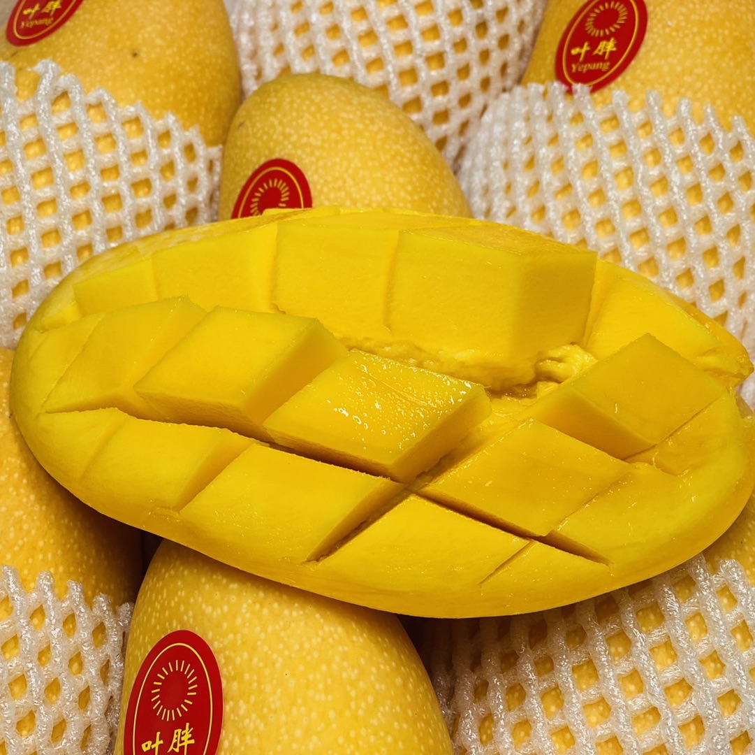 水仙芒果（斤）
