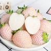 【顺丰空运】淡雪草莓  日本奈良种源  个大饱满  白嫩剔透 颗颗香甜 不打膨大剂 商品缩略图5
