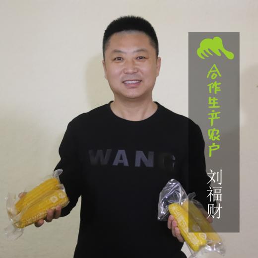 有机糯玉米（鲜食真空包装） | 合作生产* Organic fresh corn | Coproduction 商品图1