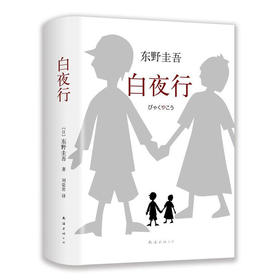 白夜行(2017精装)
