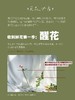 【夏雨荷玫瑰.稀有】9支送1支/份 买2份减10元 白绿色系 标准的奥斯汀花芯 商品缩略图3