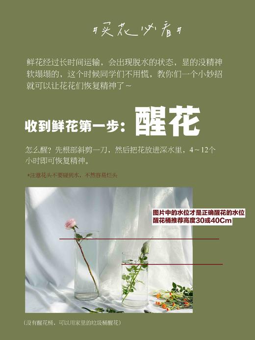 【夏雨荷玫瑰.稀有】9支送1支/份 买2份减10元 白绿色系 标准的奥斯汀花芯 商品图3