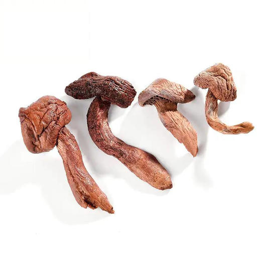 【东北特产 松伞蘑】东北特产 松伞蘑 商品图2