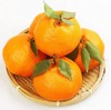 新鲜水果 甜润多汁耙耙柑 8.8元/斤 3斤装 商品缩略图0