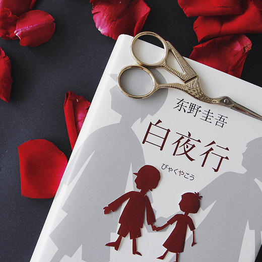 白夜行(2017精装) 商品图2