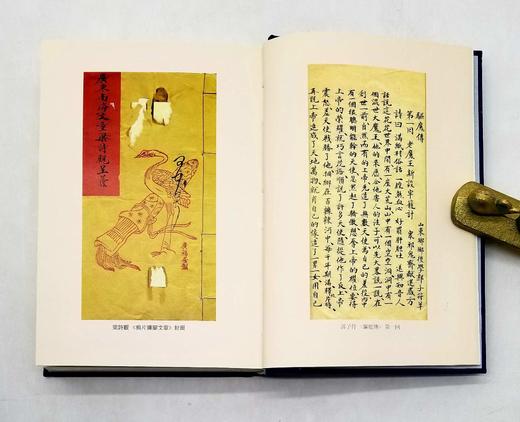 《清末时新小说集》，全14册，仿皮面精装，8600多页，上海古籍出版社2011年版，定价1680，售价838元。品相9成，只有1套 商品图3