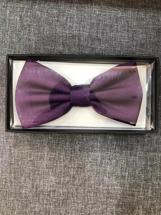 4F   ENZO  领结 商品图0