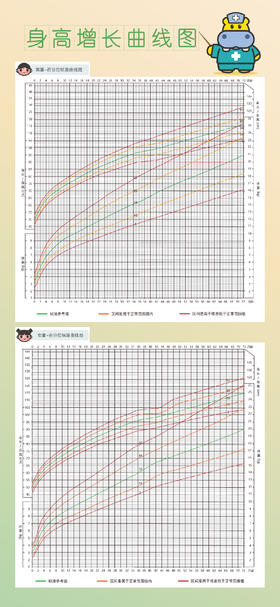 身高增长曲线图