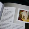纸上美术馆 安格尔 纯粹的线条 勒妮 格里莫 著 法国艺术名画真迹文艺复兴肖像画巴黎卢浮宫绘画艺术入门指南 绘画 商品缩略图2