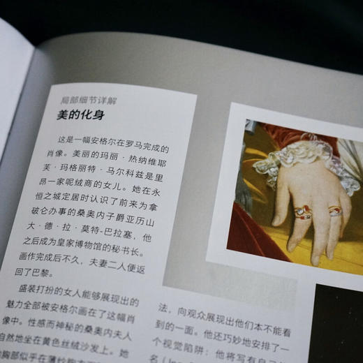 纸上美术馆 安格尔 纯粹的线条 勒妮 格里莫 著 法国艺术名画真迹文艺复兴肖像画巴黎卢浮宫绘画艺术入门指南 绘画 商品图2