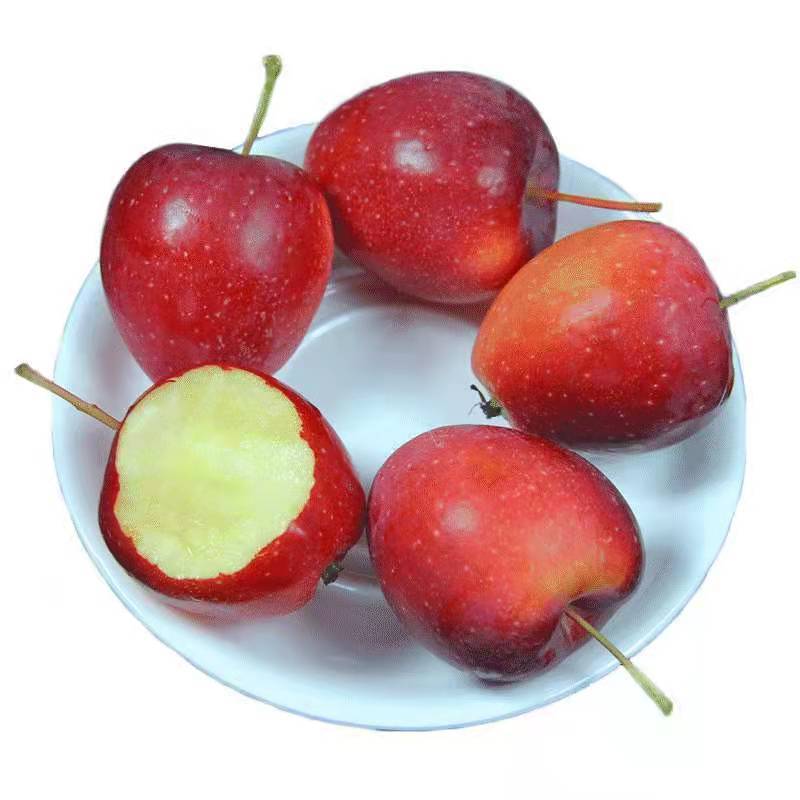 香槟小苹果 甜脆小苹果