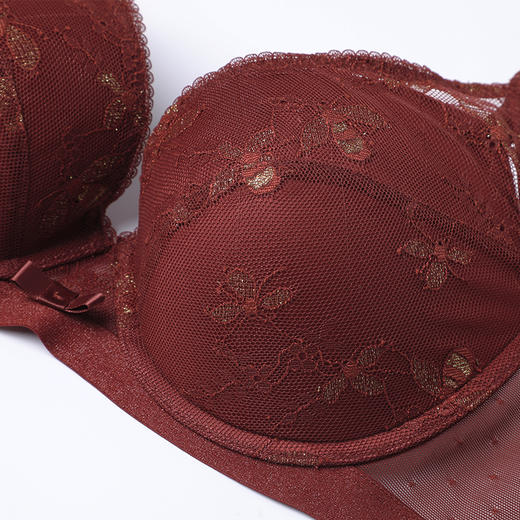 芬狄诗性感蕾丝有钢圈舒适集中上托侧收副乳文胸FB00364 商品图4