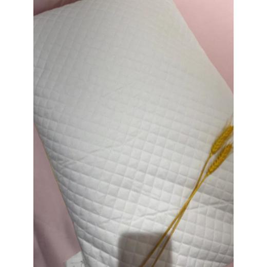 南5楼堂皇脱卸纯荞麦枕 商品图0