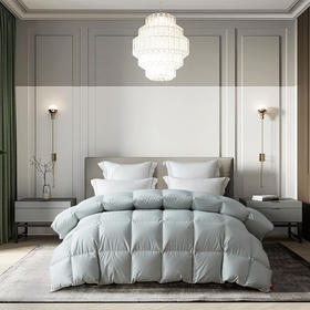 梦洁  悦享M匠绒95%鹅绒四季被 米兰（灰