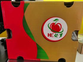 智利纯宾Bing车厘子双J五斤