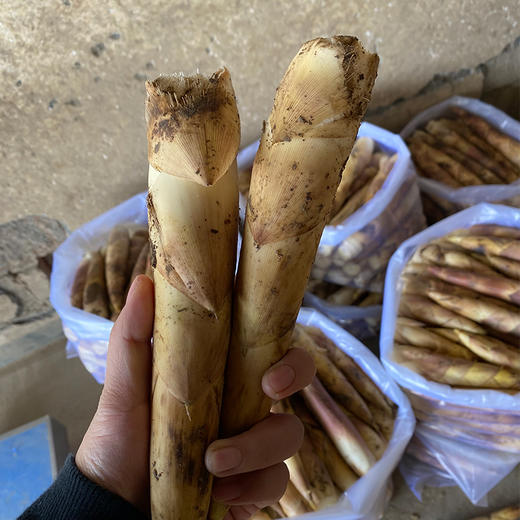 临安春笋 商品图7