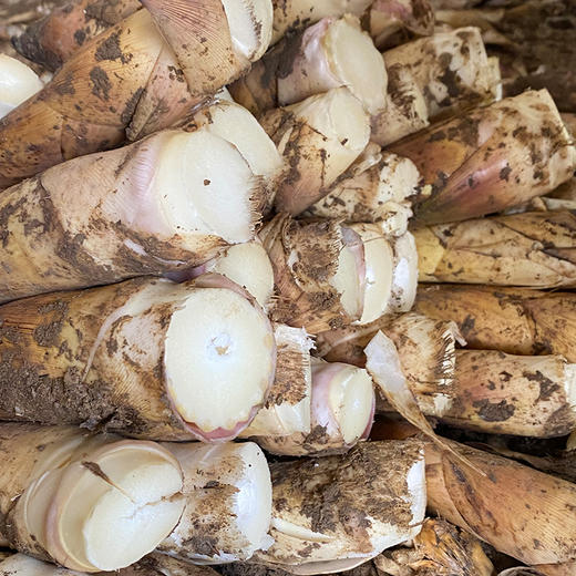 临安春笋 商品图6