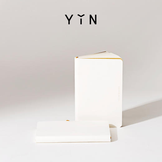  YIN隐 x 单向空间 原创设计师金色笔记本联名款 商品图0